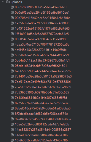 image-20250325112256889